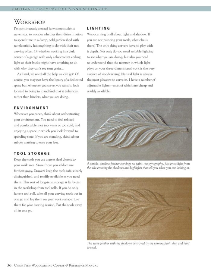 Chris Pye's Woodcarving Course & Reference Manual - Image 5